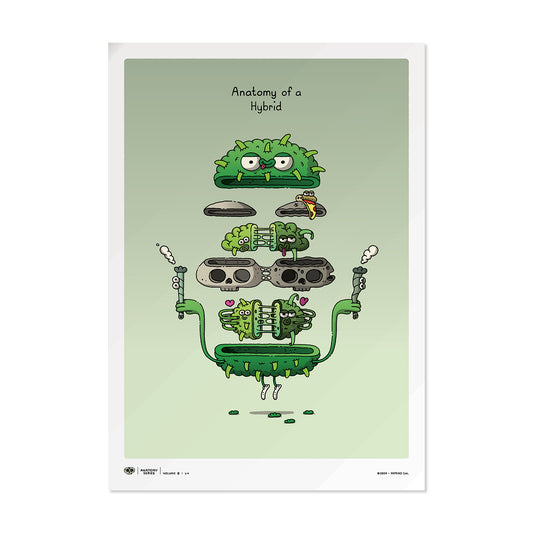 AS-v2 > 1/4 > 'Anatomy of a Hybrid'