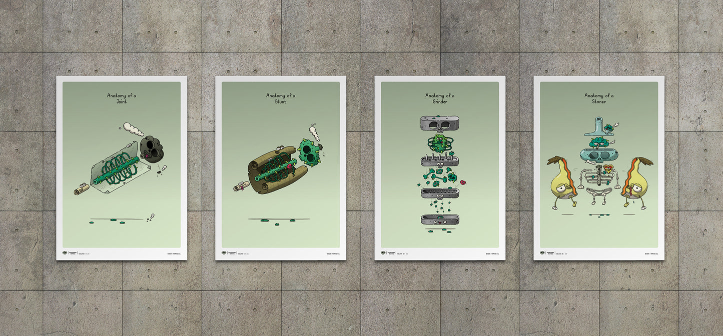 AS-v1 > 'Anatomy Series' - Volume 1