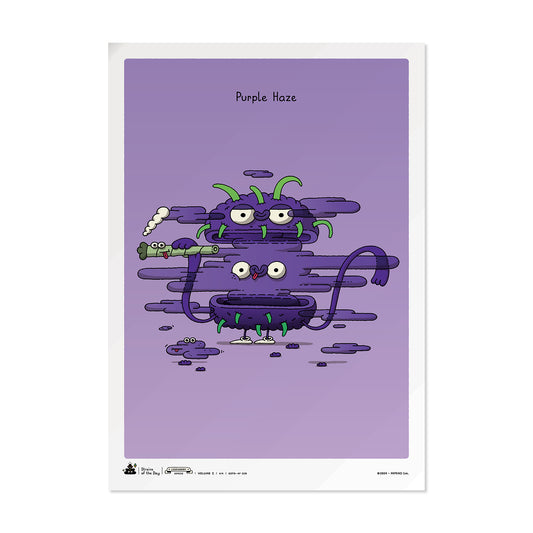 SOTD > LS-v1 > 4/4 > 'Purple Haze'