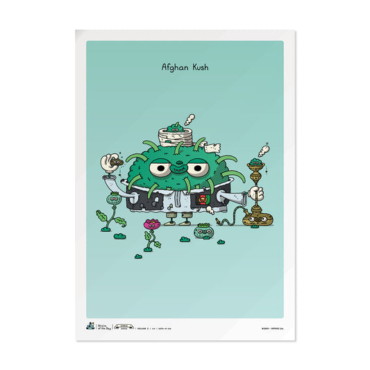 SOTD > WS-v1 > 1/4 > 'Afghan Kush'